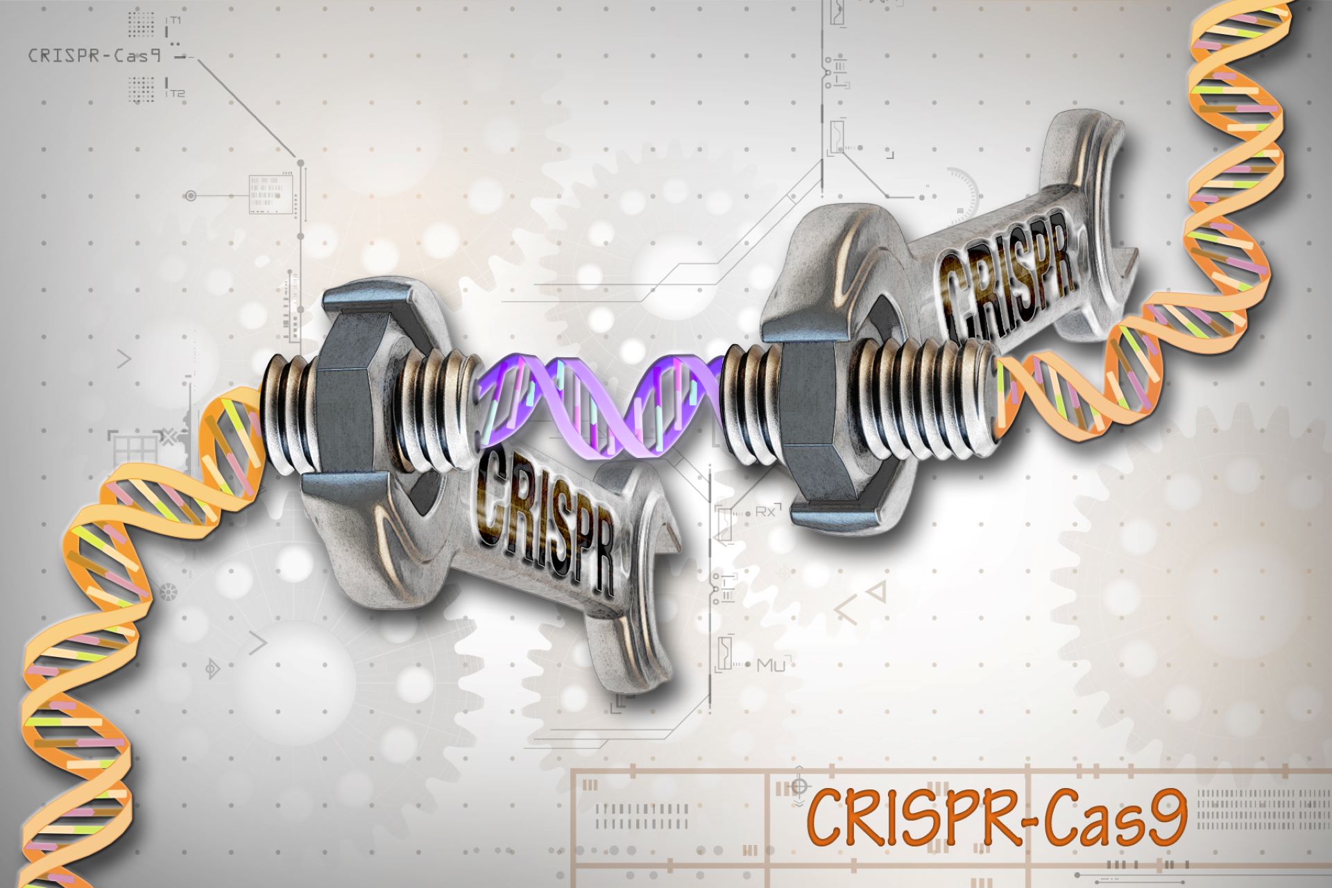 Advances in Biotechnology: CRISPR and Beyond